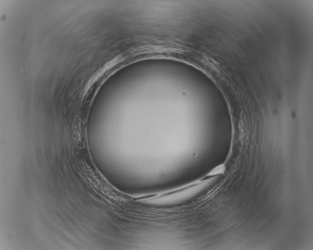 X0000052981165200507291544