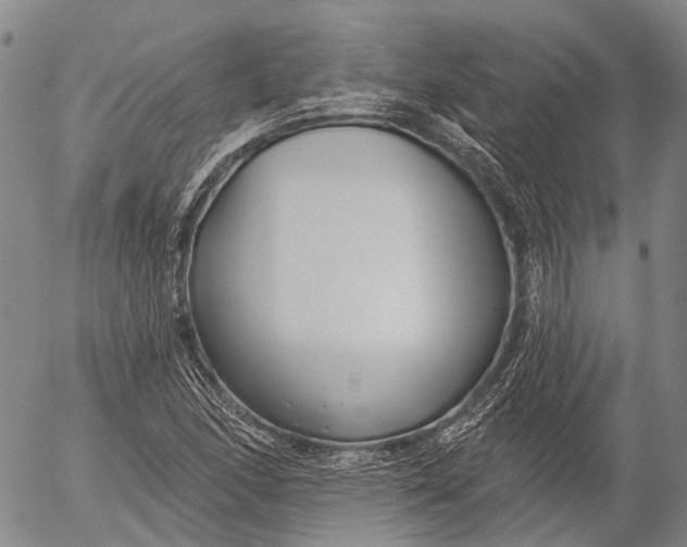 X0000052981166200507291544