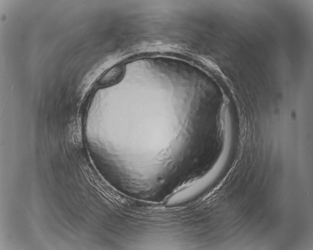 X0000052981167200507291544