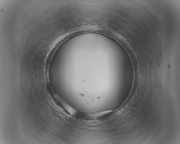 X0000052981168200507291544