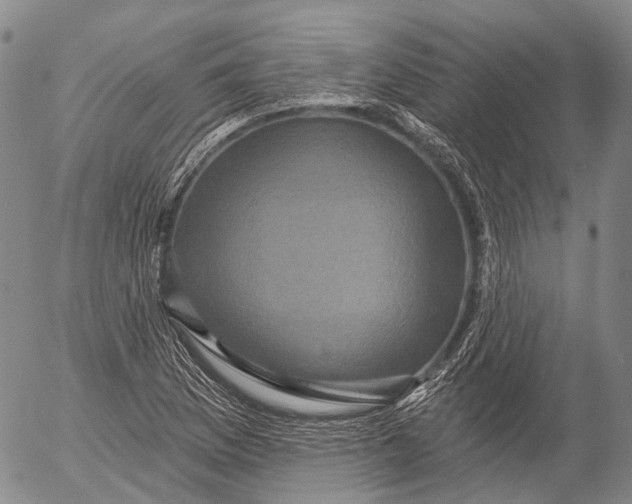 X0000052981169200507291544