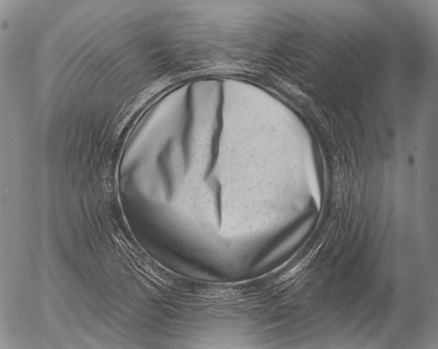 X0000052981170200507291544