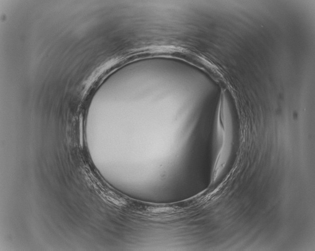 X0000052981171200507291544