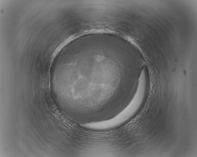 X0000052981173200507291544