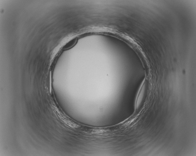 X0000052981175200507291544