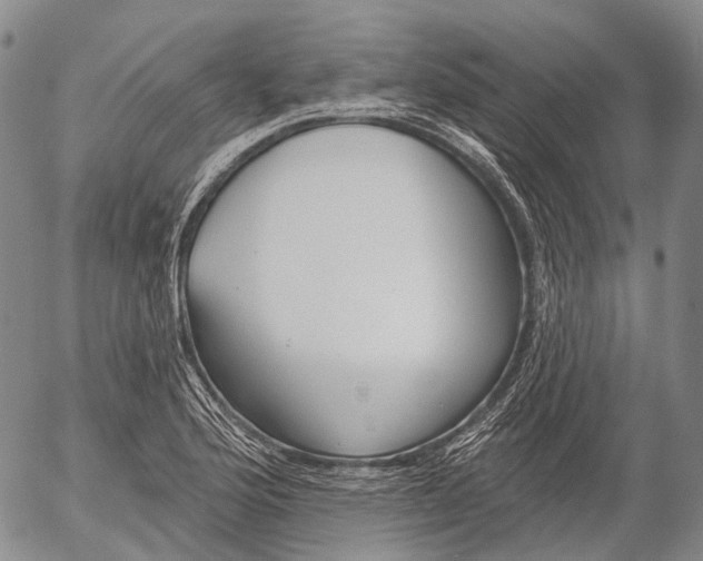 X0000052981176200507291544