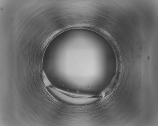 X0000052981177200507291544