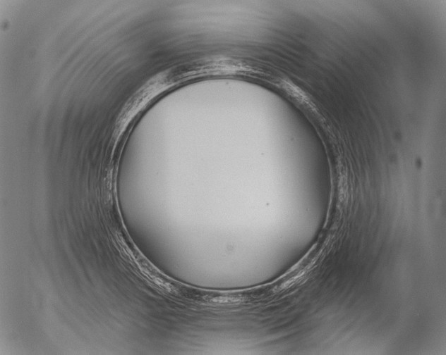 X0000052981178200507291544