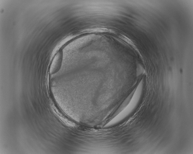 X0000052981179200507291544