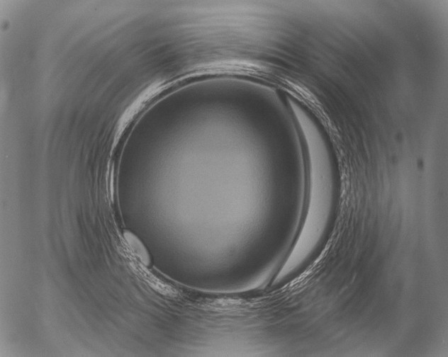 X0000052981180200507291544