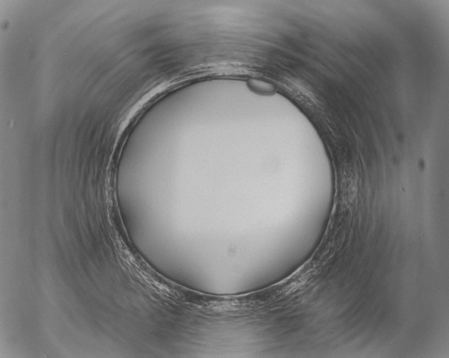 X0000052981182200507291544