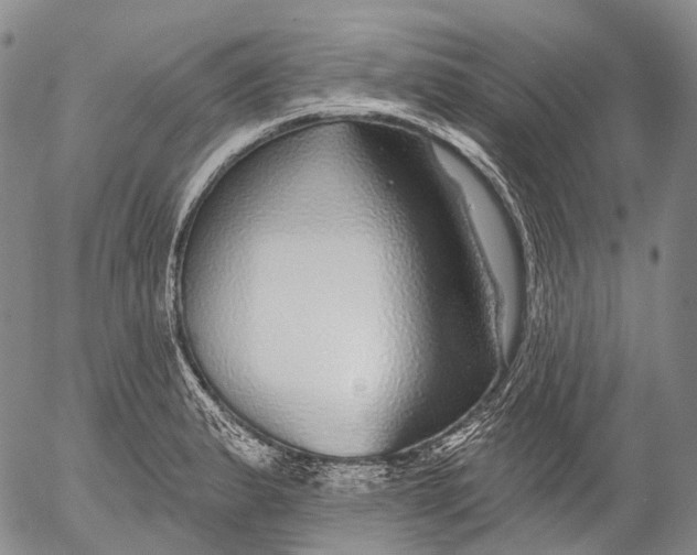 X0000052981183200507291544