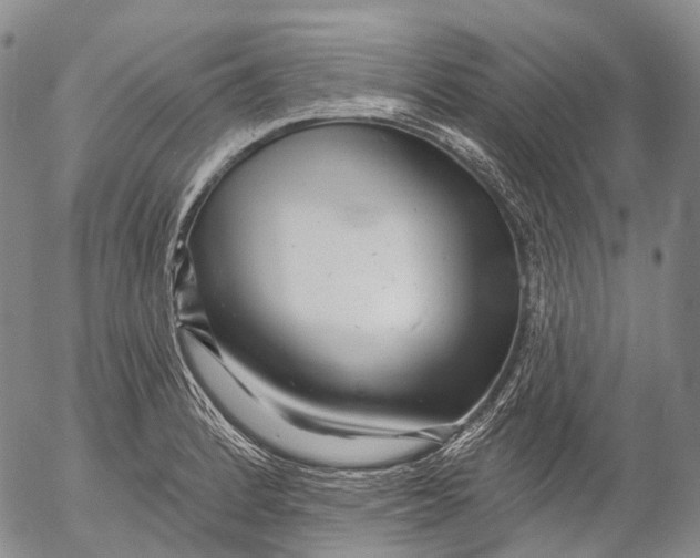 X0000052981184200507291544