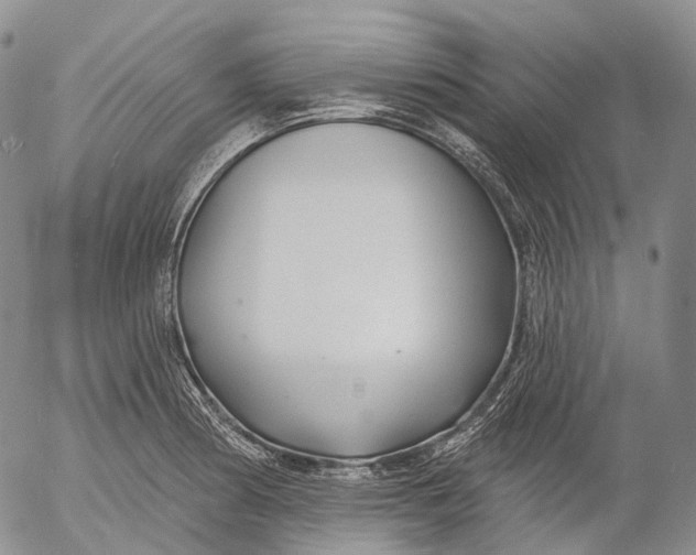 X0000052981186200507291544