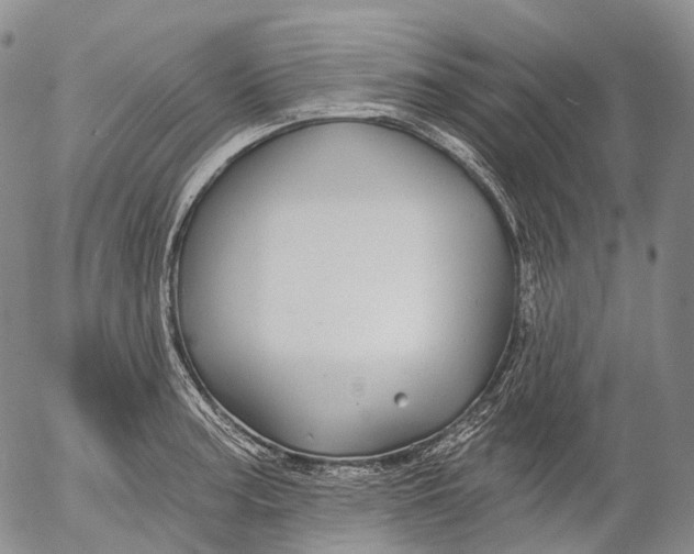 X0000052981187200507291544