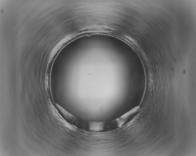 X0000052981188200507291544