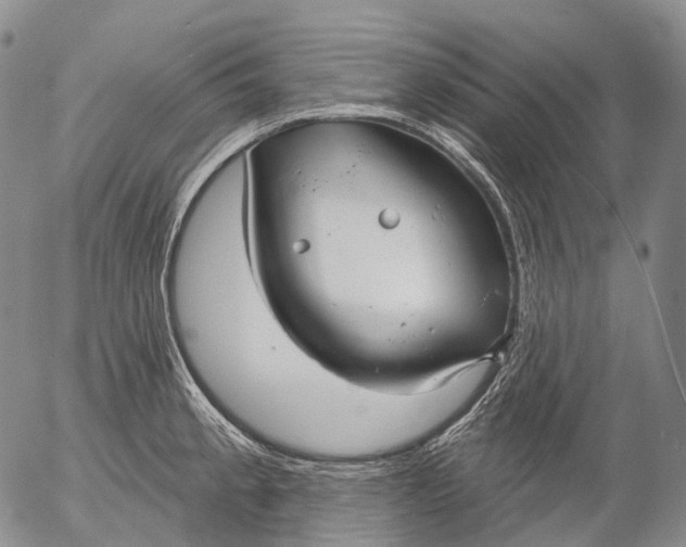 X0000052981189200507291544