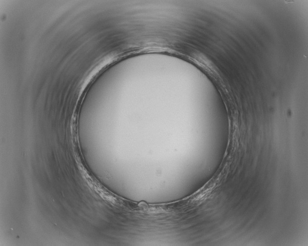 X0000052981190200507291544