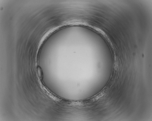 X0000052981191200507291544