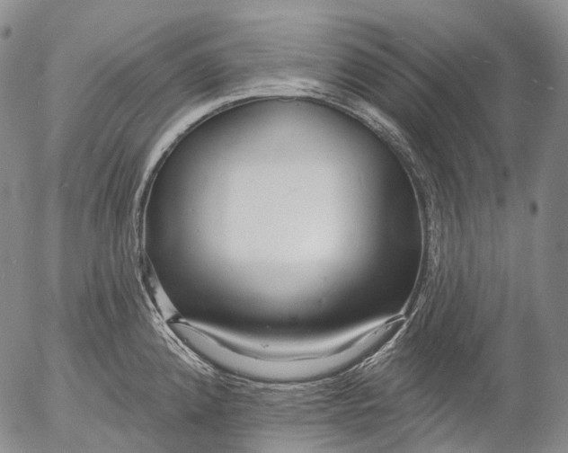 X0000052981192200507291544