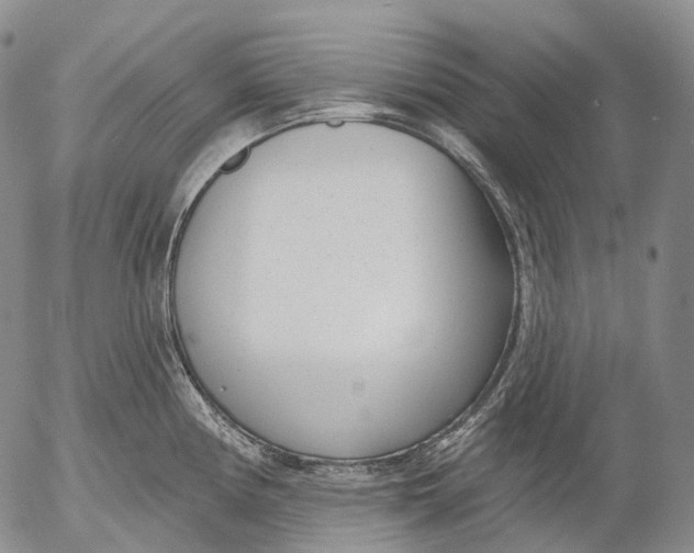 X0000052981194200507291544