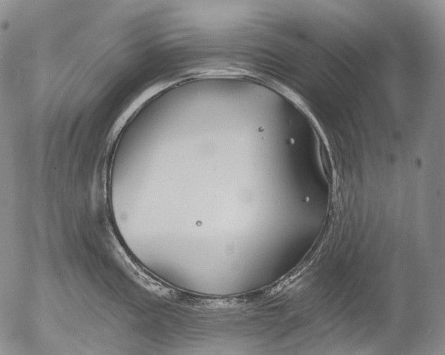 X0000052981195200507291544