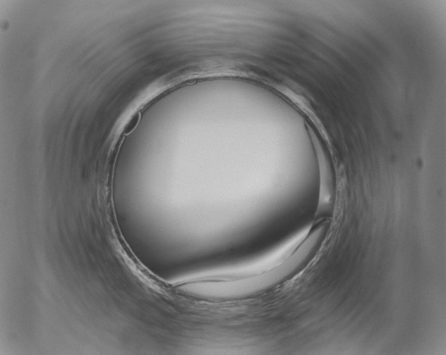 X0000052981197200507291544