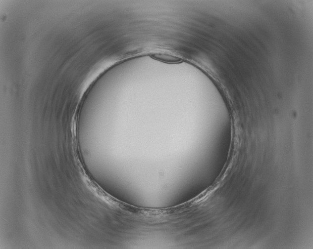 X0000052981198200507291544