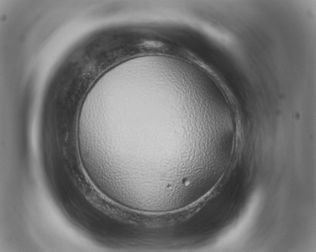 X0000052981199200507291544