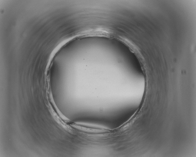 X0000052981200200507291543