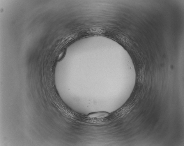 X0000052981201200507291543