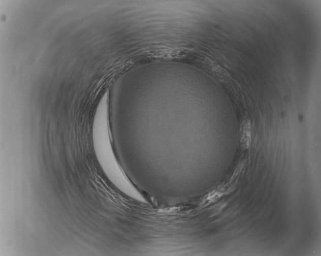 X0000052981202200507291543