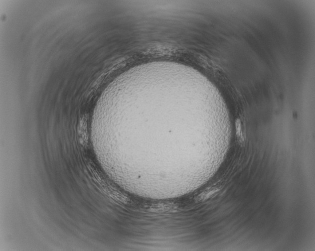 X0000052981203200507291543