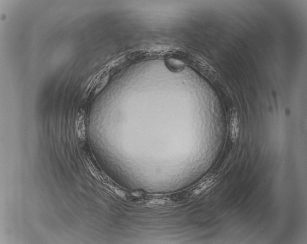 X0000052981204200507291543