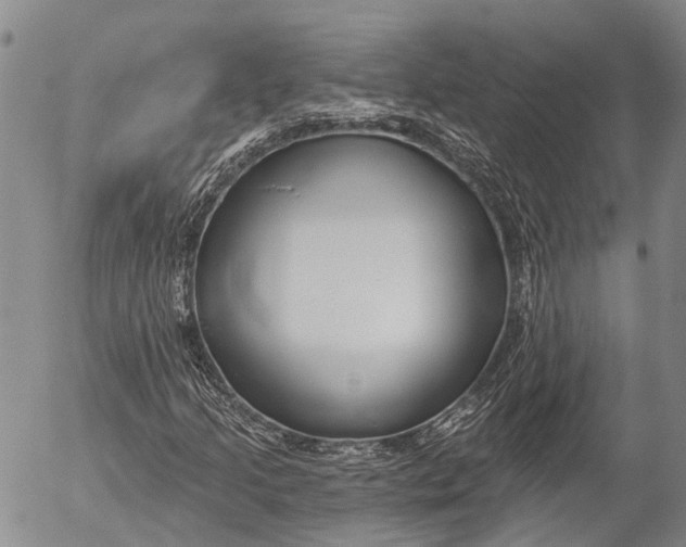 X0000052981205200507291543