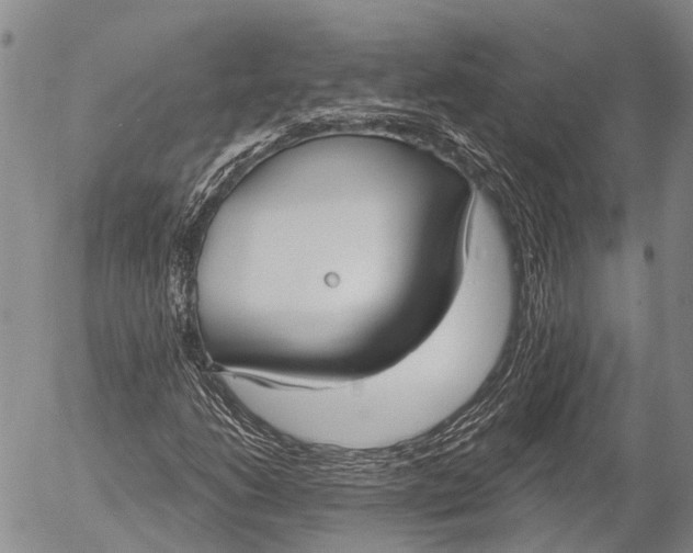 X0000052981206200507291543