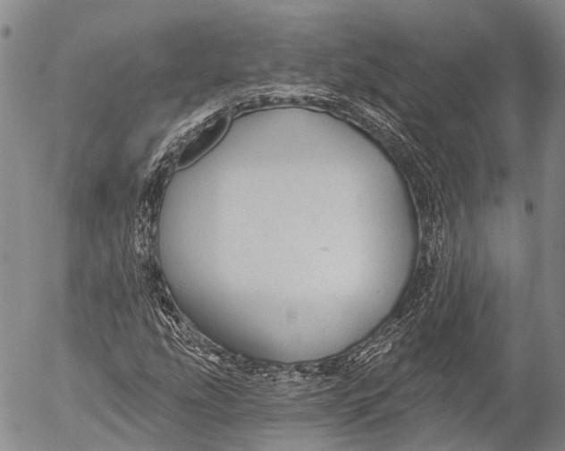 X0000052981207200507291543