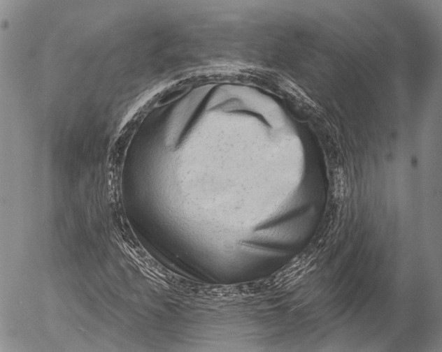 X0000052981208200507291543