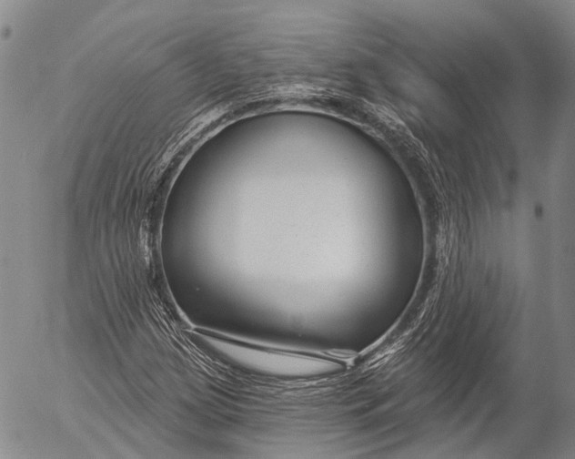 X0000052981209200507291543