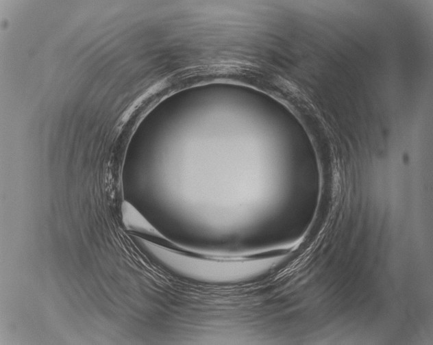 X0000052981210200507291543