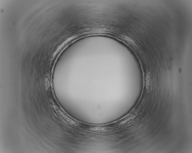 X0000052981212200507291543