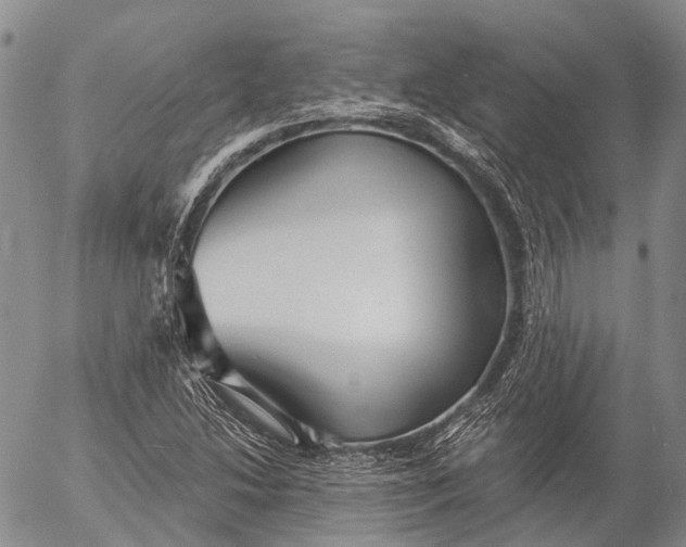 X0000052981214200507291543