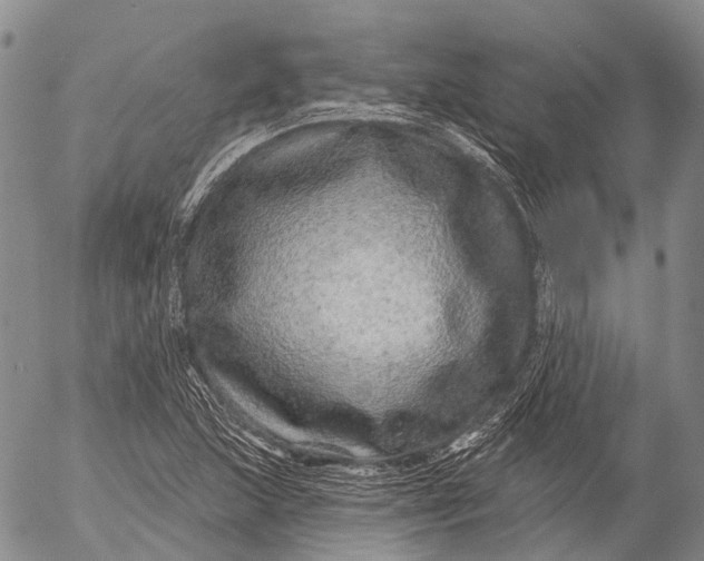 X0000052981215200507291543