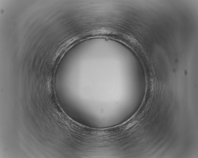 X0000052981217200507291543