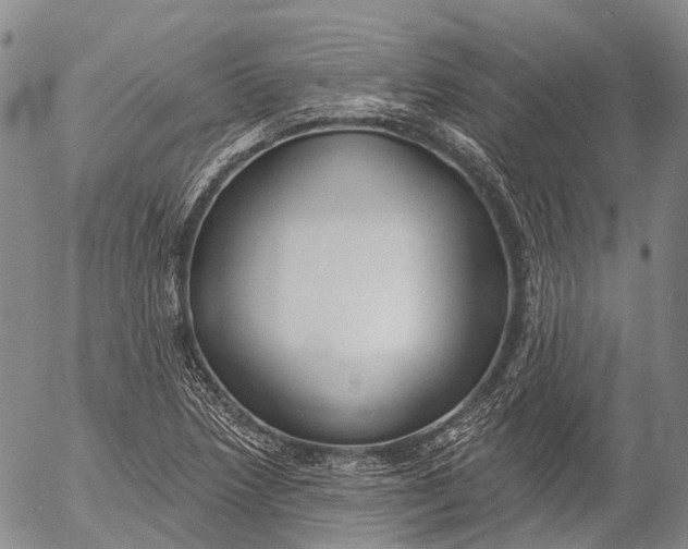 X0000052981218200507291543