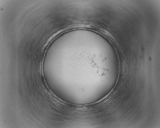 X0000052981220200507291543