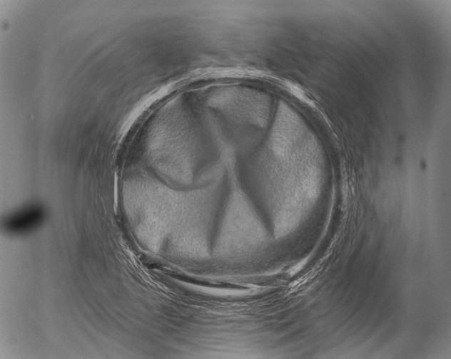 X0000052981221200507291543