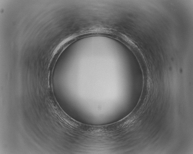 X0000052981222200507291543