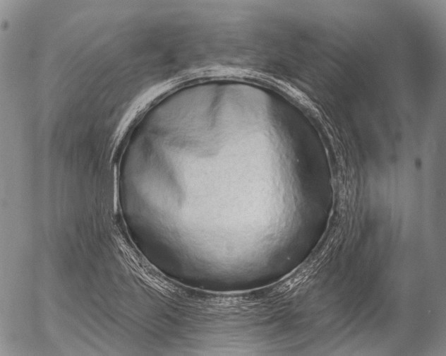 X0000052981223200507291543