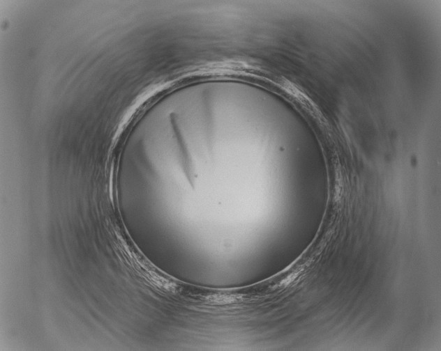 X0000052981224200507291543